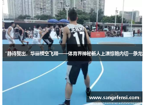 “静待复出，华丽横空飞翔——体育界神秘新人上演惊艳内切一条龙”